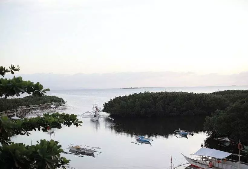 Virgin Island Resort   Restaurant & Spa
