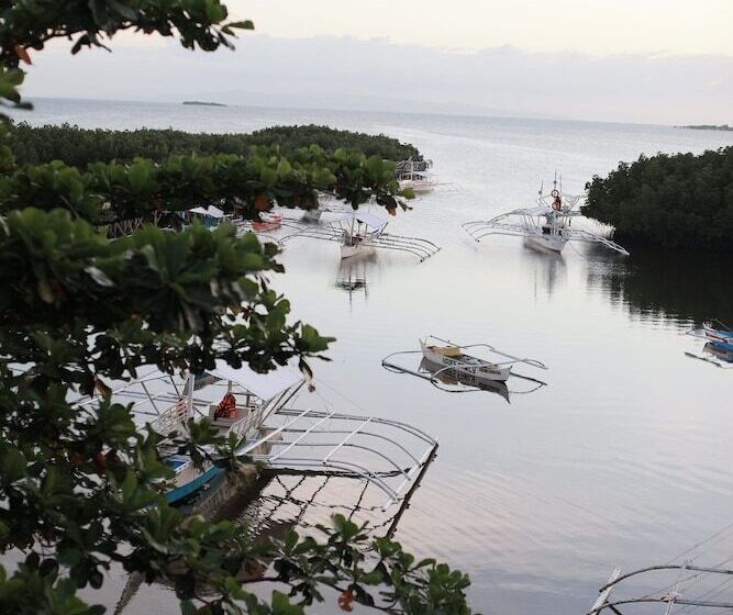 Virgin Island Resort Restaurant & Spa