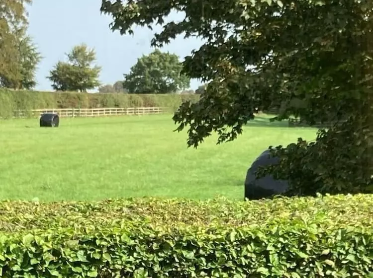 Beautifully Set 3 Bed Cottage In Marlborough