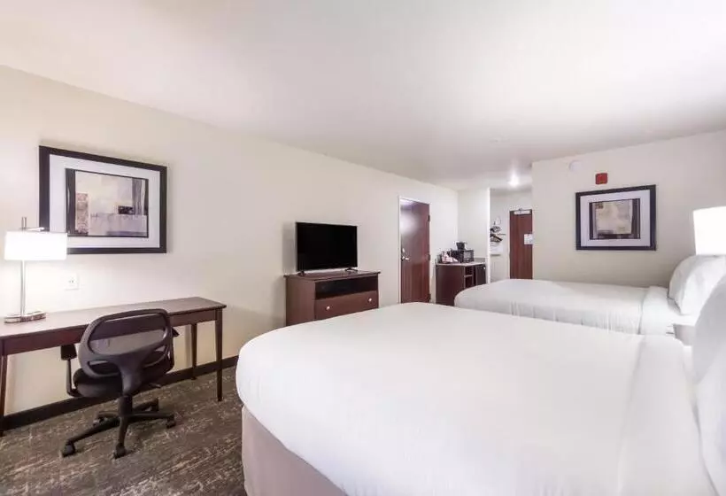 Cobblestone Hotel & Suites   Alpine