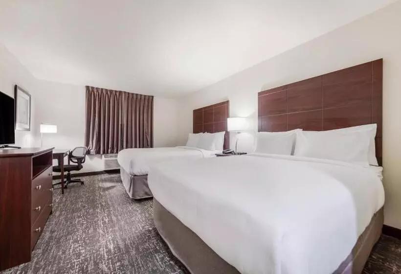 Cobblestone Hotel & Suites   Alpine