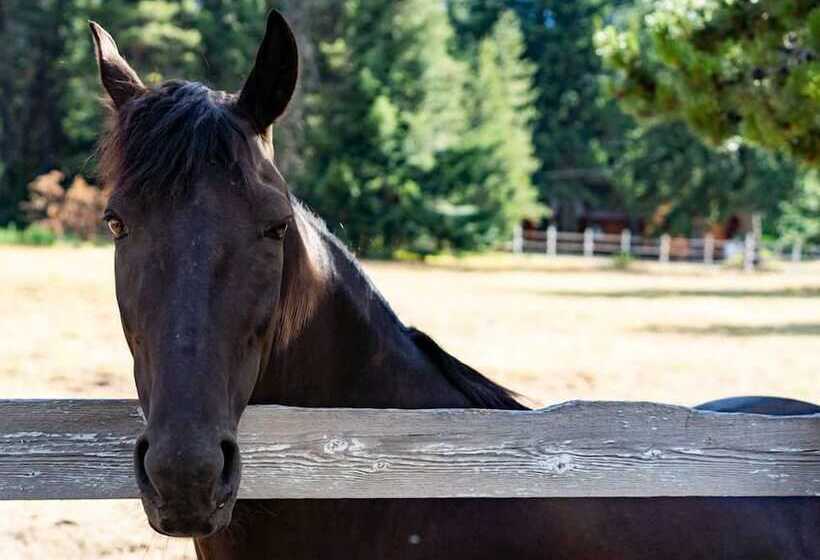 Szálloda Silver Ridge Ranch