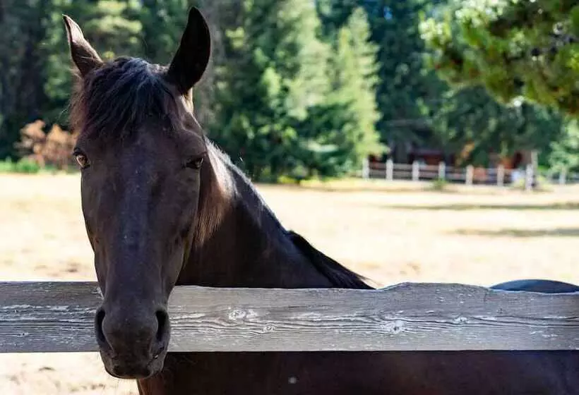 Hotelli Silver Ridge Ranch