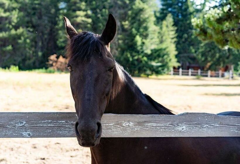 Szálloda Silver Ridge Ranch
