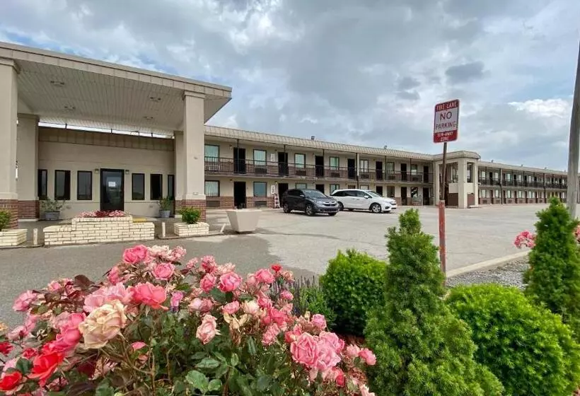 モーテル 81 El Reno