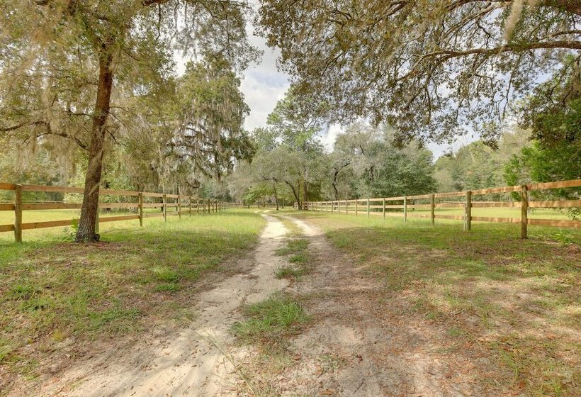 Peaceful Country Home In Williston: Horses Welcome