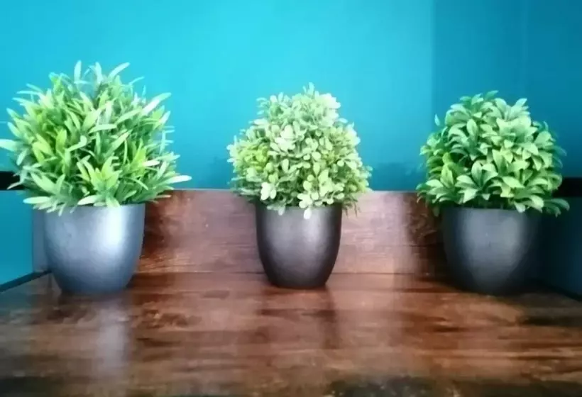 Residenssi The Snug, Centre Of Morpeth