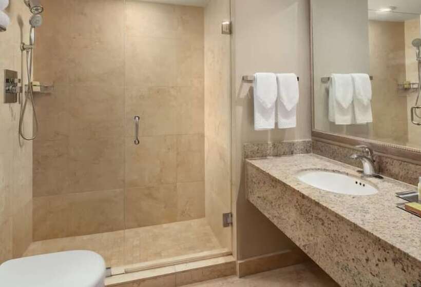 The Grand Hotel Biscayne Bay