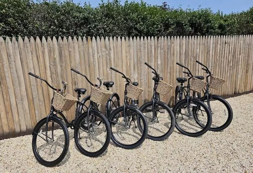 Aamiaismajoitus (B&B) Vine & Sand