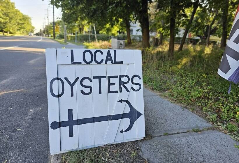 مبيت وإفطار Vine & Sand