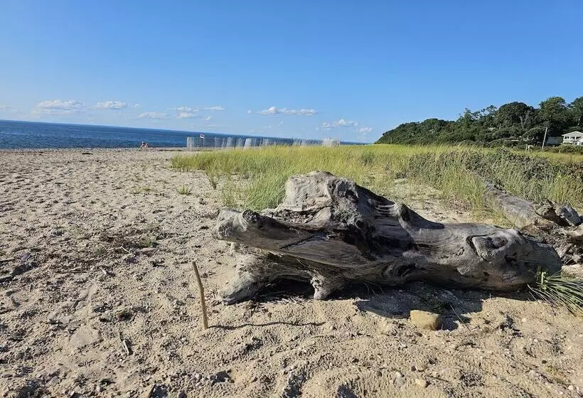 Aamiaismajoitus (B&B) Vine & Sand