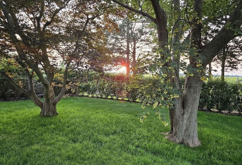 مبيت وإفطار Vine & Sand