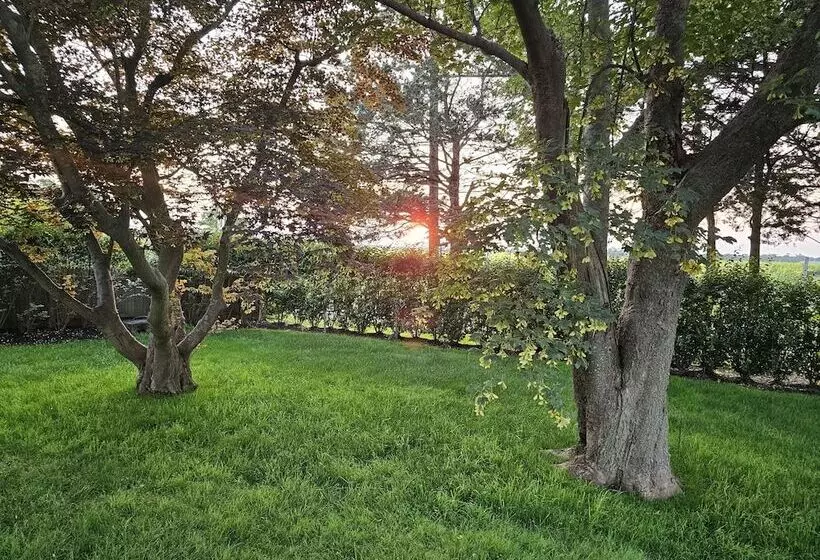 Aamiaismajoitus (B&B) Vine & Sand