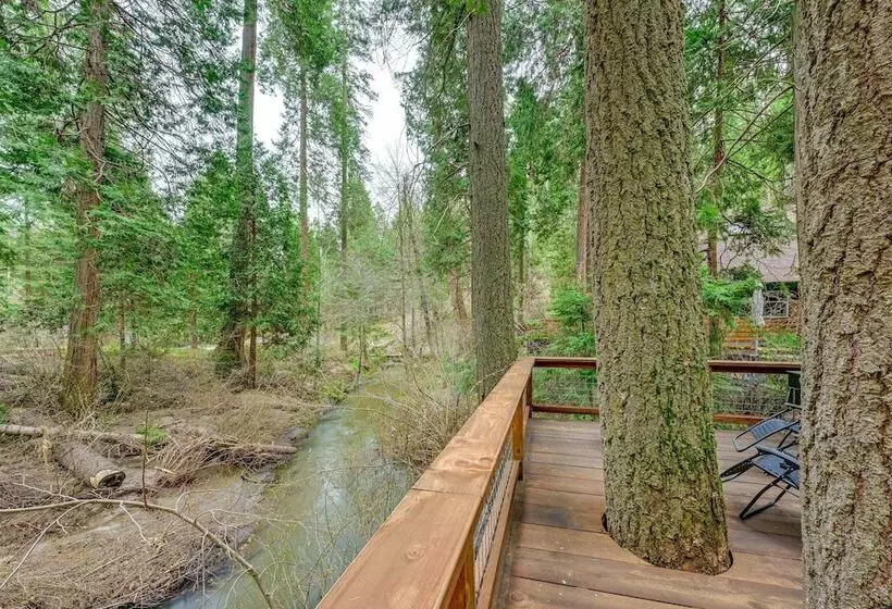 Creekside Cabin ~ 20 Mi To Kings Canyon Park!