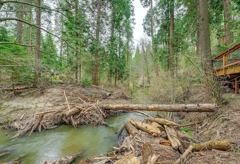 Creekside Cabin ~ 20 Mi To Kings Canyon Park!