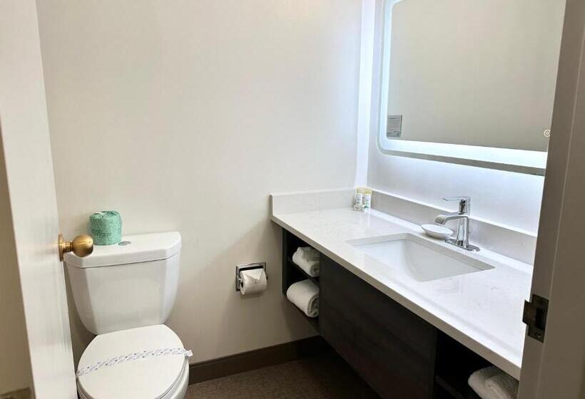 簡易ホテル Kiteville Cedar Rapids