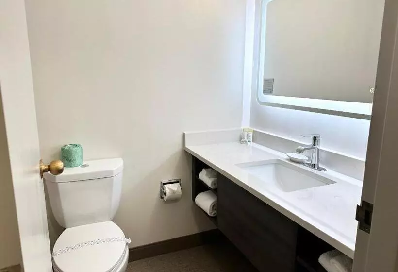 簡易ホテル Kiteville Cedar Rapids