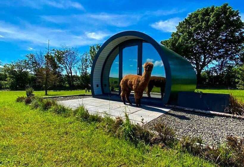酒店 Black Knowe, Luxury Glamping Pods, Ballycastle