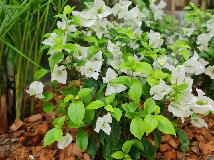 Пансион Momento Bangtao Beach