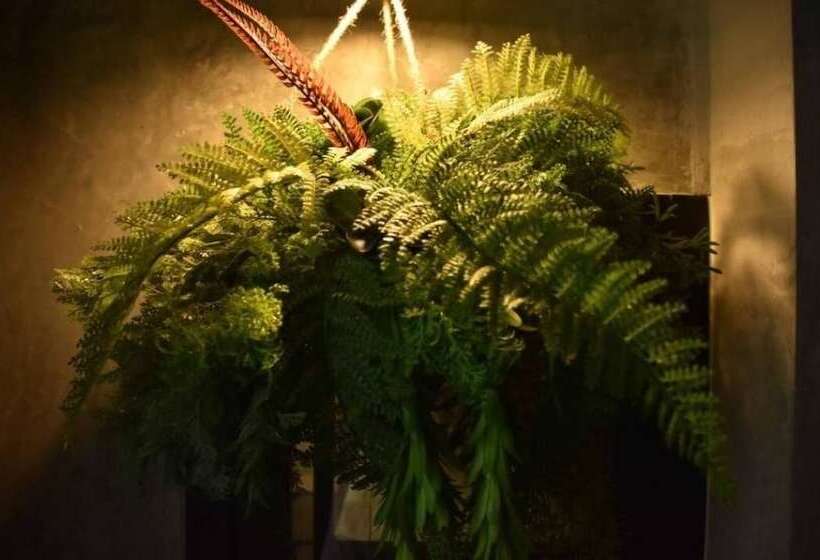 膳宿费 Momento Bangtao Beach