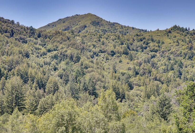 Unique Larkspur Cabin W/ Treetop Mountain Views!
