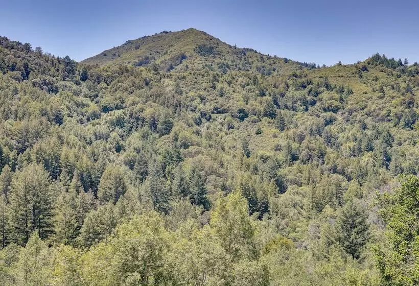 Unique Larkspur Cabin W/ Treetop Mountain Views!