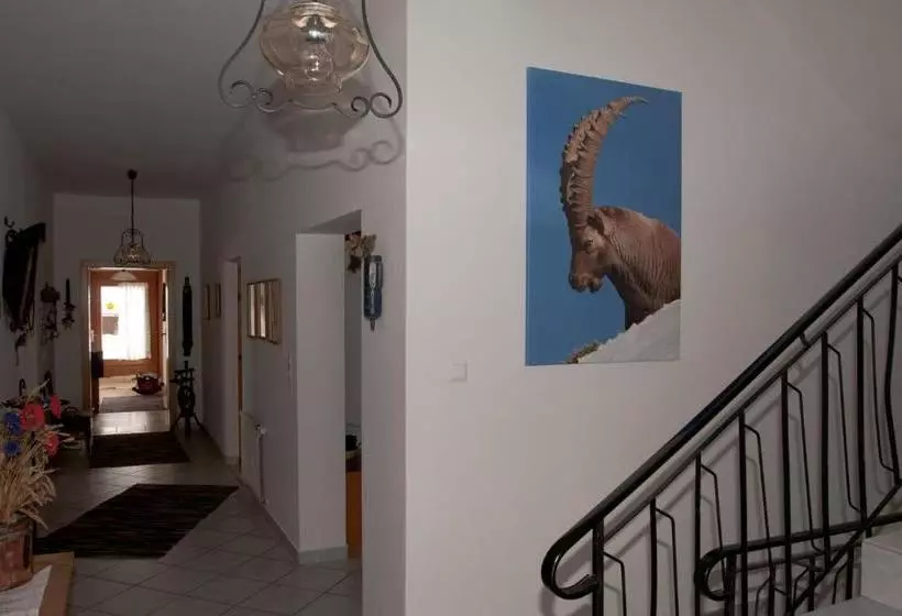 ホテル Appartements Schmalzerhof