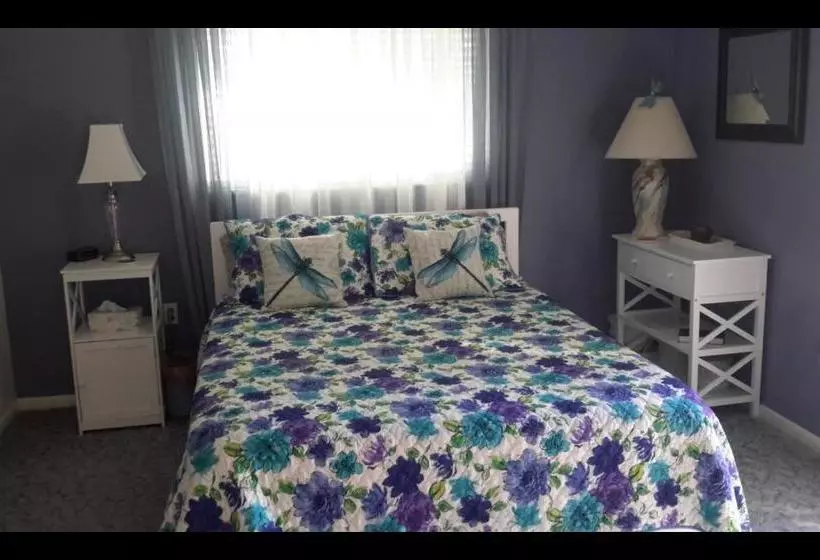هتل Creek Side Bed And Breakfast