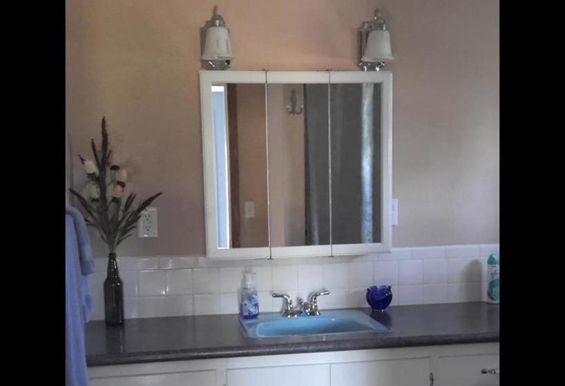 Отель Creek Side Bed And Breakfast