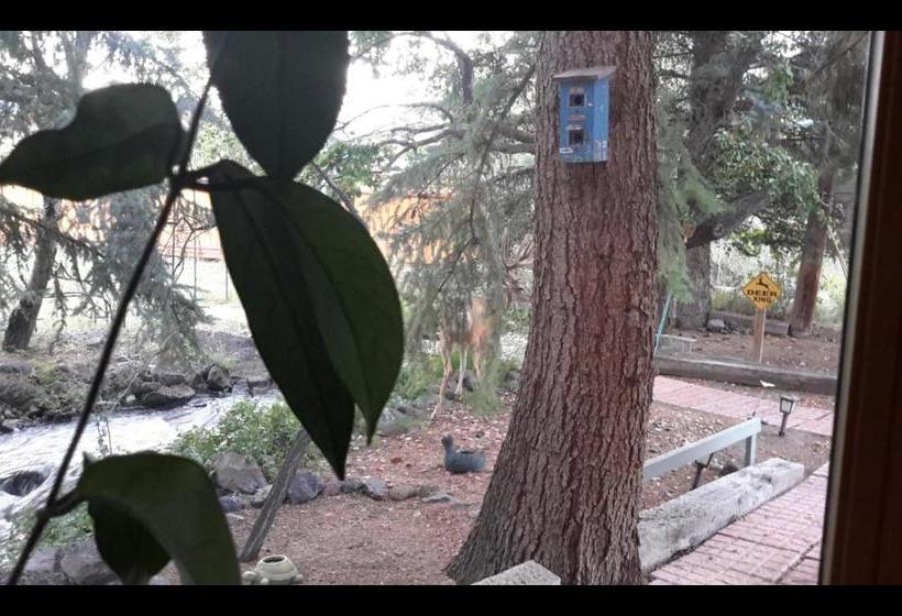 Отель Creek Side Bed And Breakfast