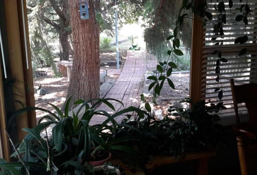 Отель Creek Side Bed And Breakfast