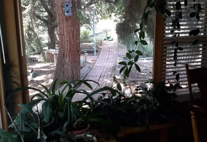 هتل Creek Side Bed And Breakfast