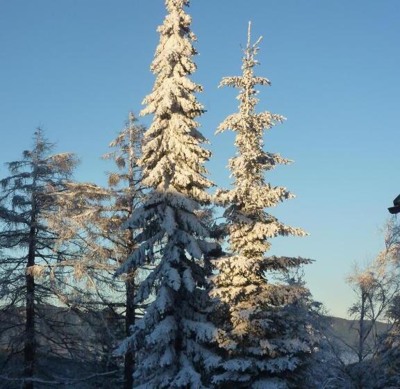 호텔 Der Löffler Am Semmering Bed&breakfast