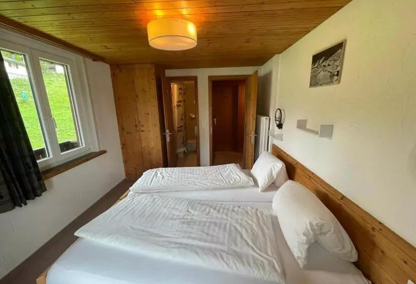 Hotel Erzhorn