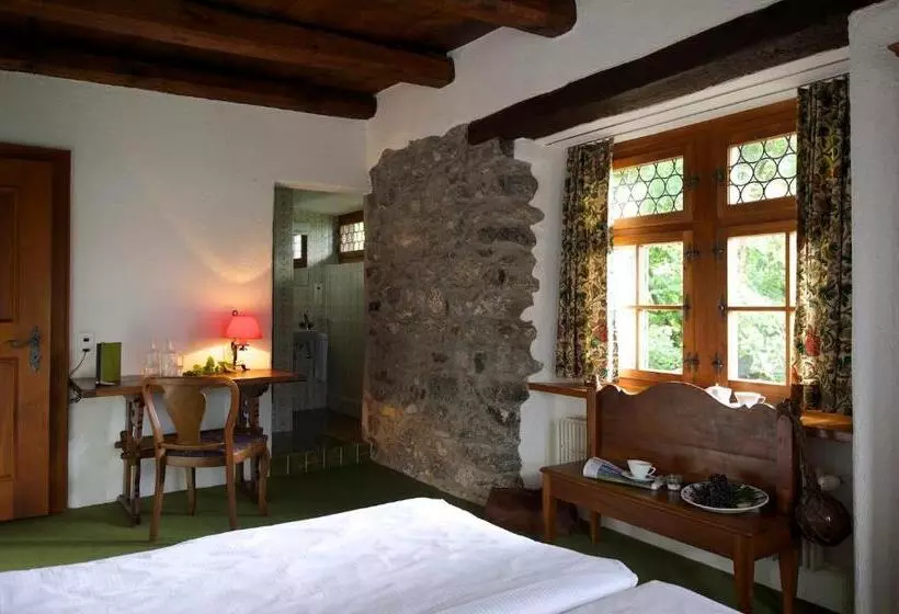 Hotel Flyhof