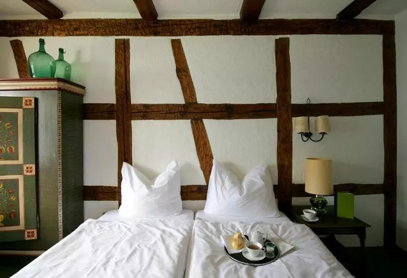 Hotel Flyhof
