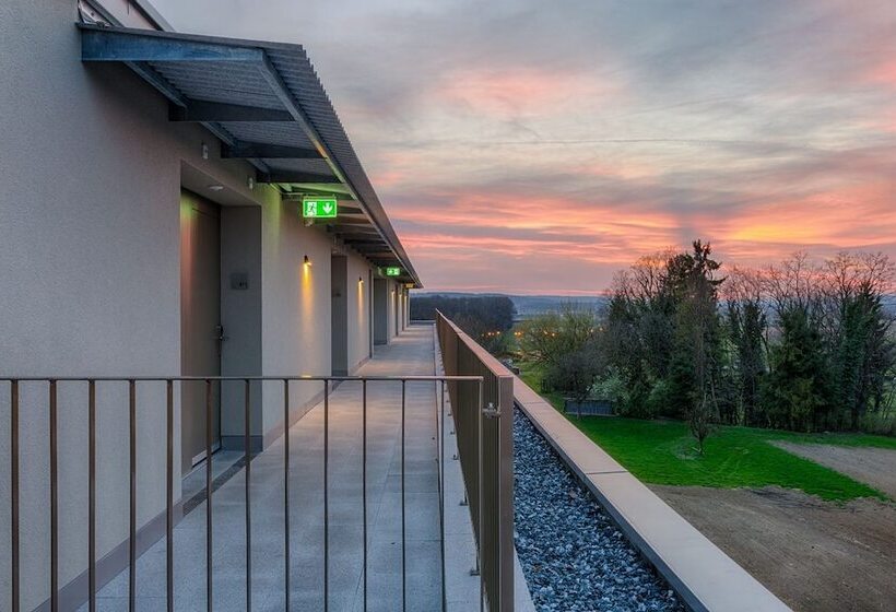 Отель Frauenfeld