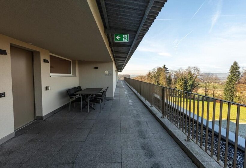 Отель Frauenfeld