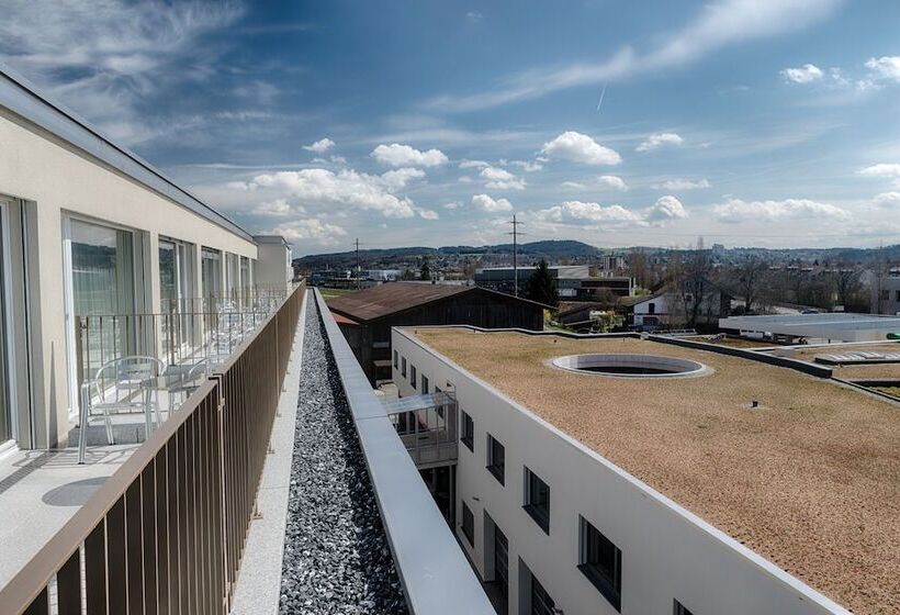 Отель Frauenfeld