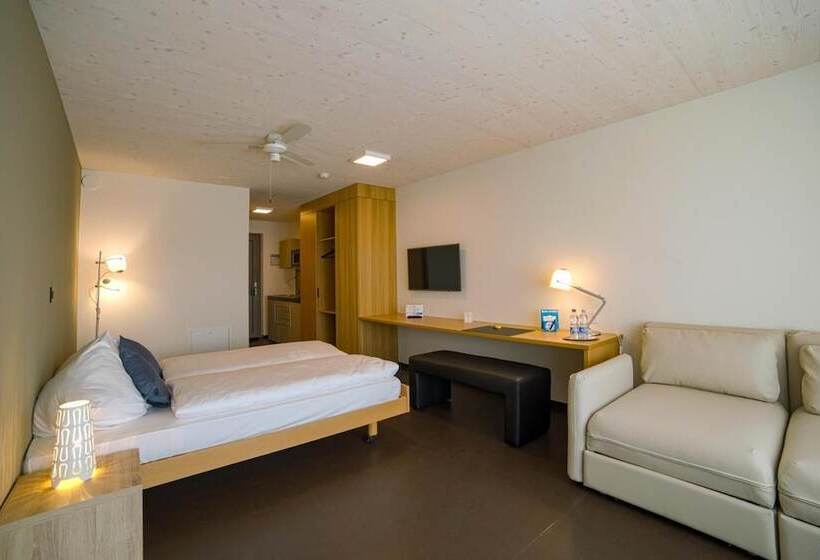 Отель Frauenfeld