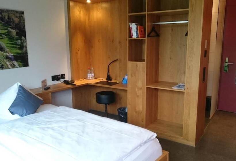 Отель Frauenfeld