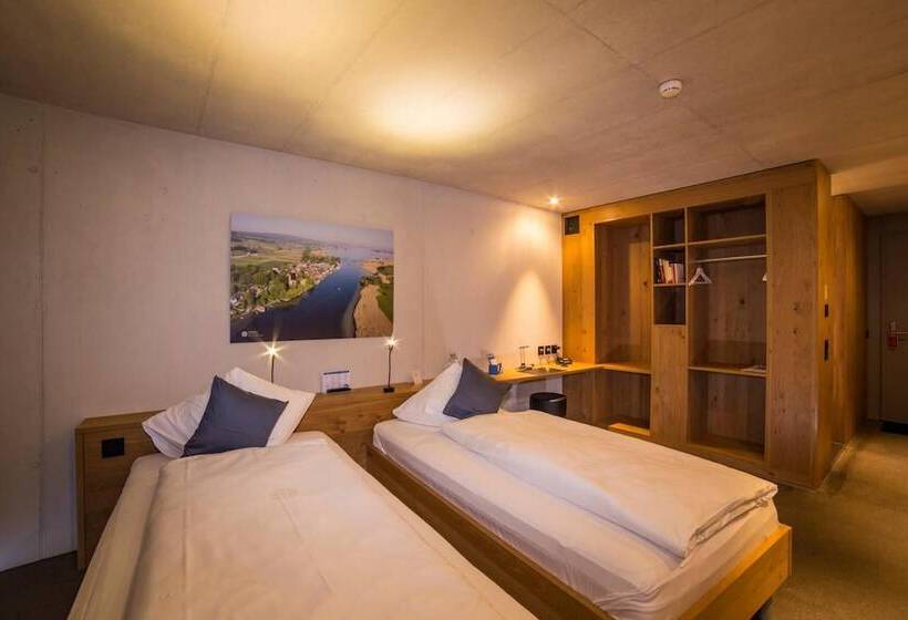 Отель Frauenfeld