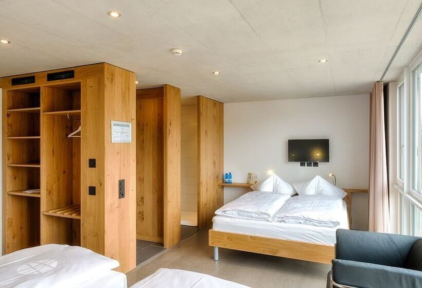 Отель Frauenfeld