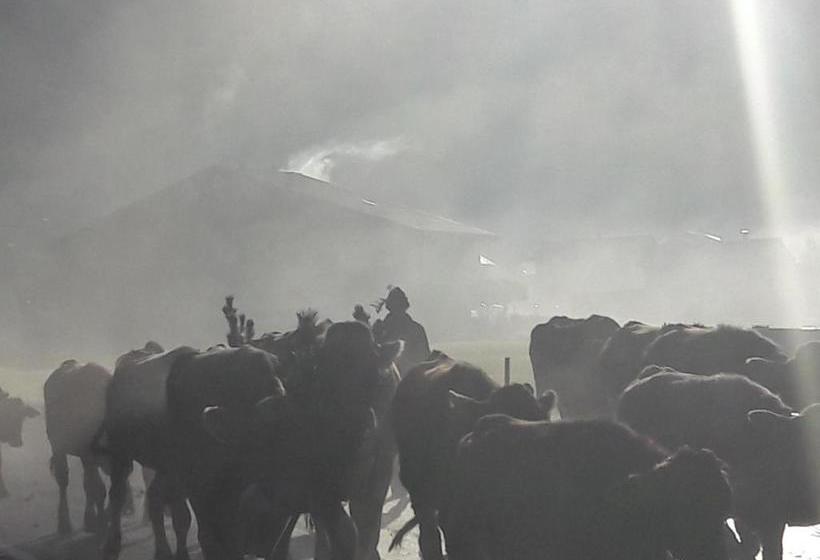 בית מלון כפרי Haus Diedams