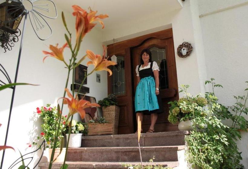 ホテル Haus Feuerstein