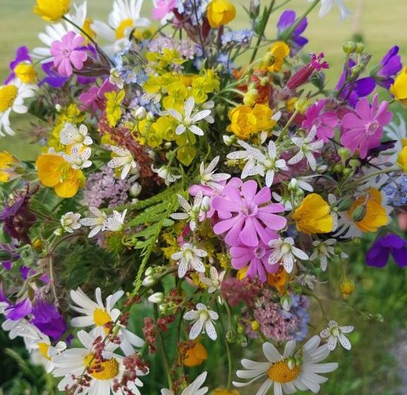 בית מלון כפרי Haus Ortner