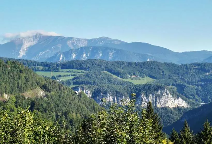 Hotelli Der Löffler Am Semmering Bed&breakfast