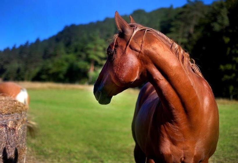 Hotell Landhaus Semmering