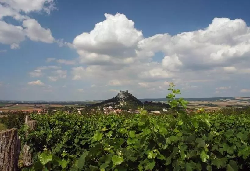ホテル Weinbauernhof Vier Jahreszeiten