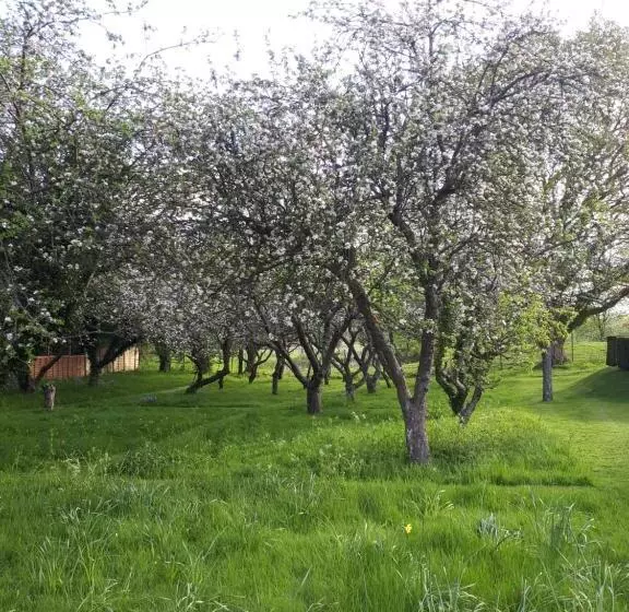 Aamiaismajoitus (B&B) Blackbrook House